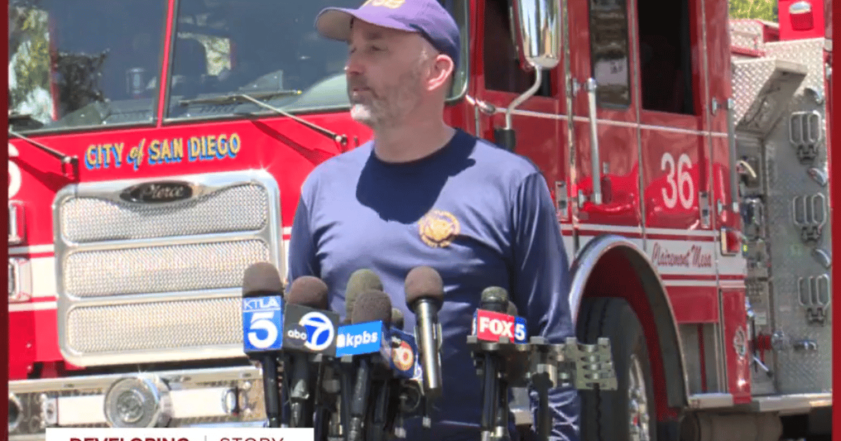 Music Agent Dave Shapiro among Six Killed in San Diego Citation